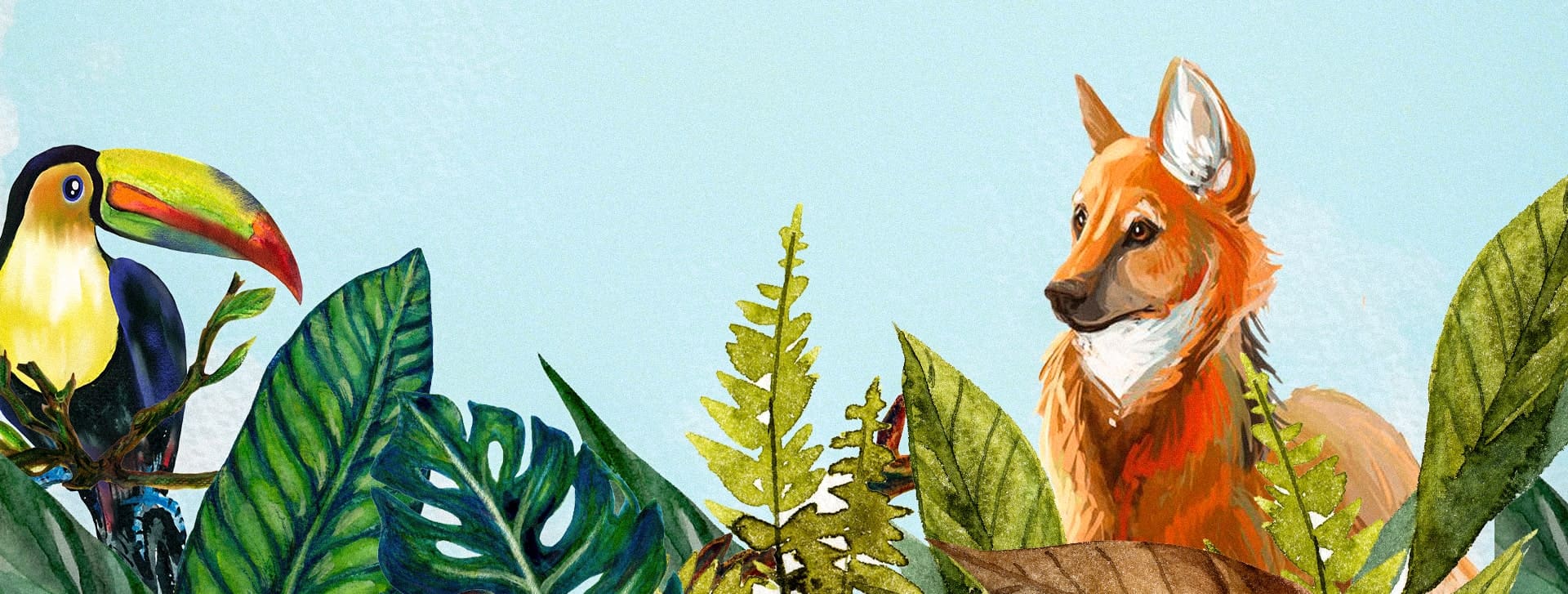 Conheça as fazendas cooperadas