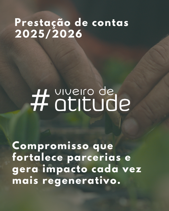 Resultados que geram impacto: Viveiro de Atitude apresenta prestação de contas aos Parceiros de Atitude